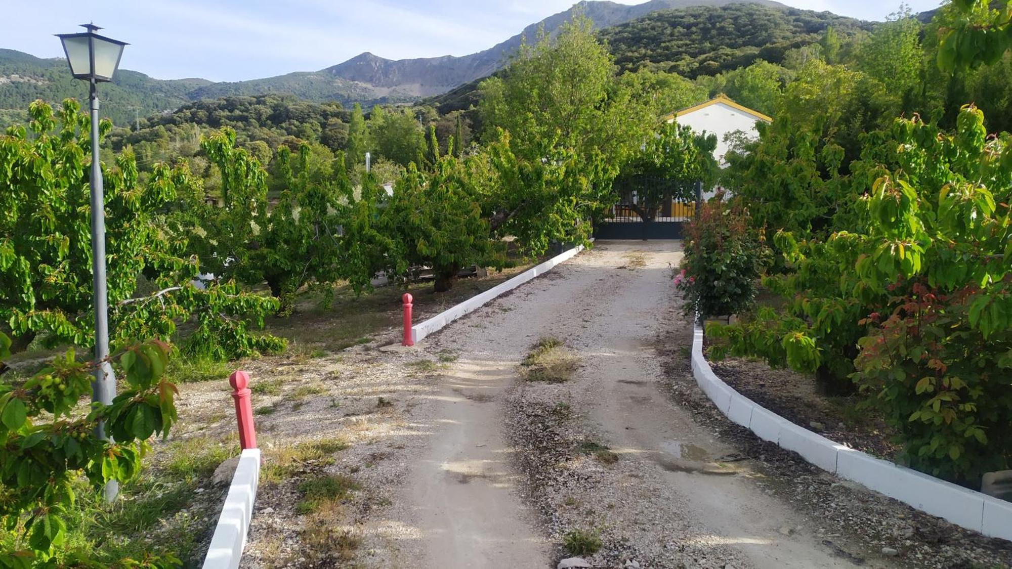 Los Cabales Torres  Kültér fotó